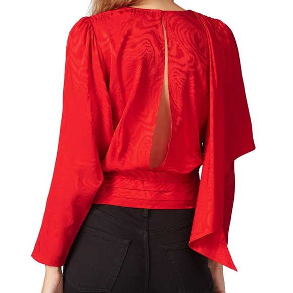 Ronny Kobo Monet Satin Blouse - Picture 6 of 7